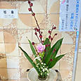 P1793140266347