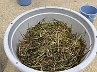 B9e777a8b2414354908f684f38723640 B9e777a8b2414354908f684f38723640