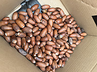 Ea3955b6ed6a4a259cce72a8c5f84bc0