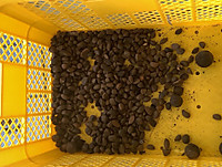 9b6744a46f354586bcac66bd3efcb33f