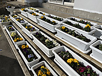 5574193b25ae4c00a5354a6baaad6f7e