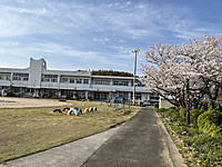 275f8ea5e32d495d95809cf68bde7c12