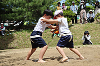Img_0217 Img_0217