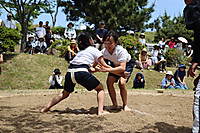 Img_0266 Img_0266