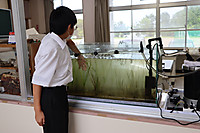 Img_0565 Img_0565
