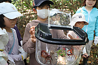 Img_1034 Img_1034