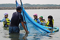 Img_0938 Img_0938