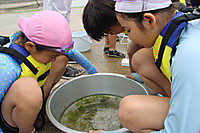 Img_0986 Img_0986