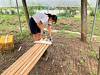 Image_1cleaned