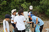 Img_2482
