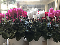 0c467c404de44e3c8807739ef6a27066