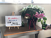 1a949bebed13402580f20d401089e00e