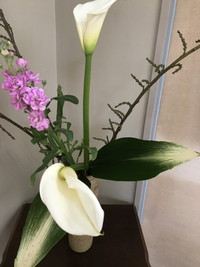 25154f9bc2454a40b552f07454001647