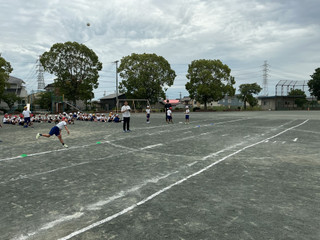 Img_1419 Img_1419
