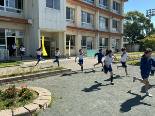 Img_1799 Img_1799