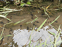 Cimg1566_2 Cimg1566_2