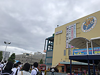 B26c32b2262b4de0908fe71e90156f6b