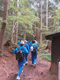 2268ddd312dd4b209fa6dea8c2ba379f