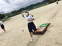 2385483271934742973a781879aa67d6