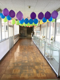 2a5290a60dc44122ba906357eee5ead6