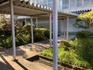 20251028_054746562_ios 20251028_054746562_ios