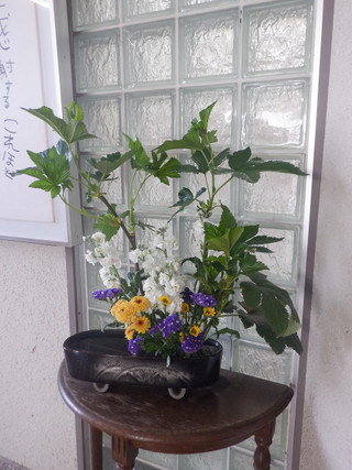 Dscf7319_2 Dscf7319_2