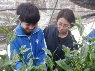 Dscf7807 Dscf7807