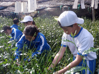 Dscf7853 Dscf7853