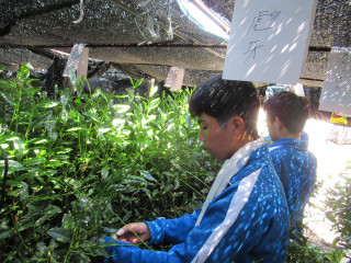 Img_7359 Img_7359