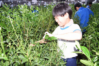 Dsc_0991