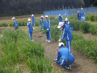 Dscf8145