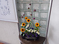 Dscf8432 Dscf8432