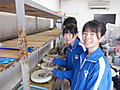 Dscf8584 Dscf8584