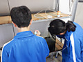 Dscf8587 Dscf8587