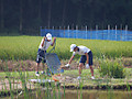 Dscf8858 Dscf8858
