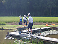 Dscf8865 Dscf8865