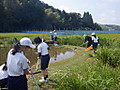 Dscf8870 Dscf8870