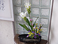 Dscf8948 Dscf8948