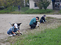 Dscf9005 Dscf9005