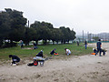 Dscf9006 Dscf9006