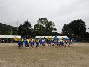 Dsc02529