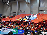 Kimg1550