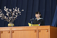 Img_3769 Img_3769