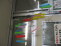 Img_3352_r_3 Img_3352_r_3