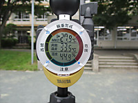 Img_3533_r_2 Img_3533_r_2