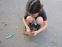 Img_4363_r Img_4363_r