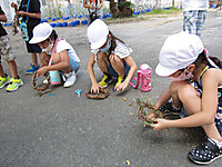 Img_4364_r Img_4364_r