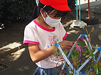 P8250064_r P8250064_r