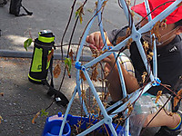 P8250068_r P8250068_r