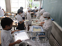 Img_3770_r Img_3770_r